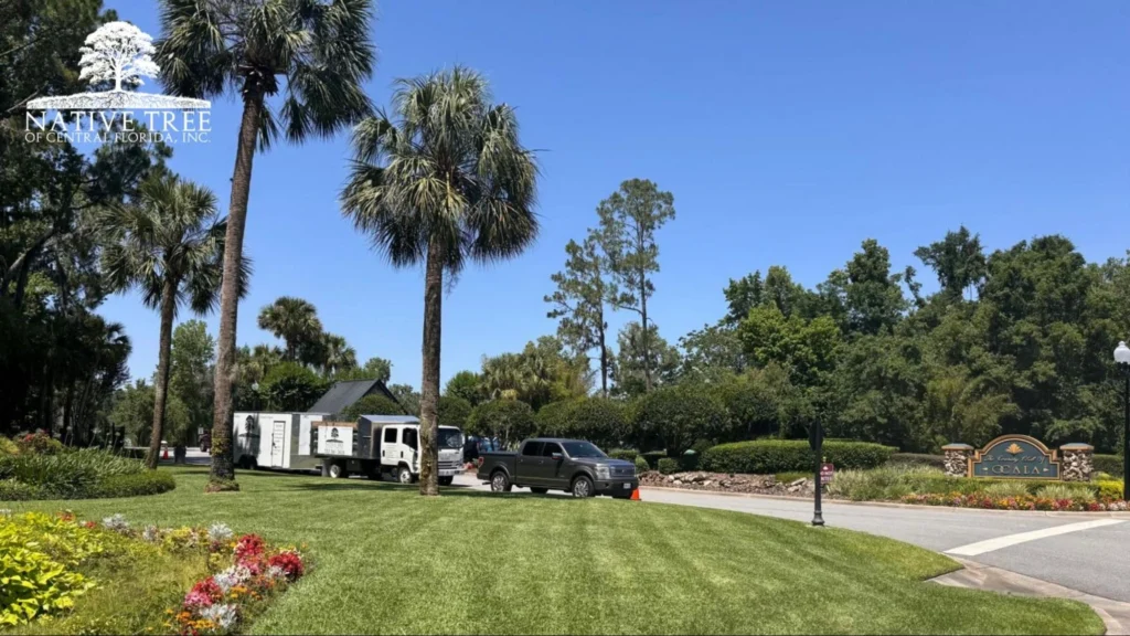 A truck parked in front of a palm tree, surrounded by well-maintained landscaping.