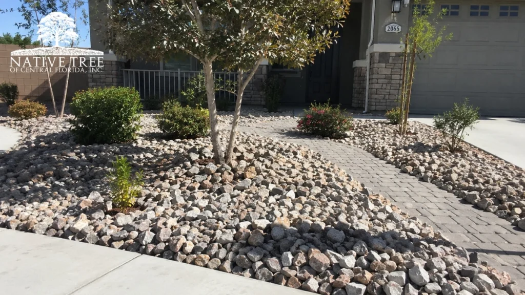A landscaped area featuring various rocks and trees, creating a natural and serene outdoor environment.