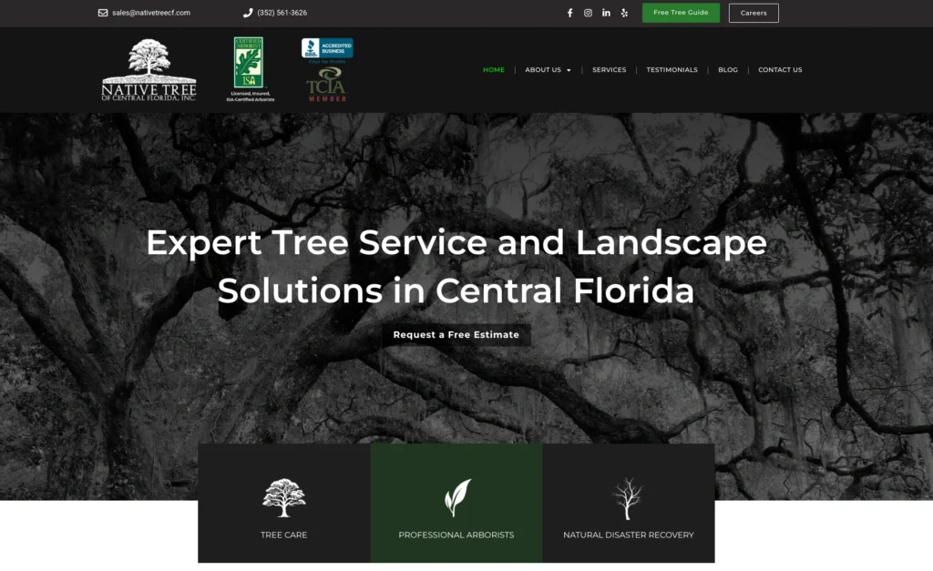 A professional tree service team in Central Florida trimming and maintaining trees in a residential area.