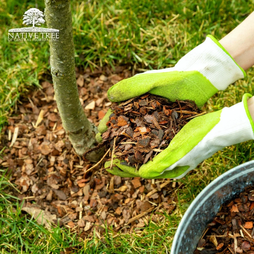 A person in gloves holds a bucket of mulch, ready to apply it to a garden area for landscaping purposes.