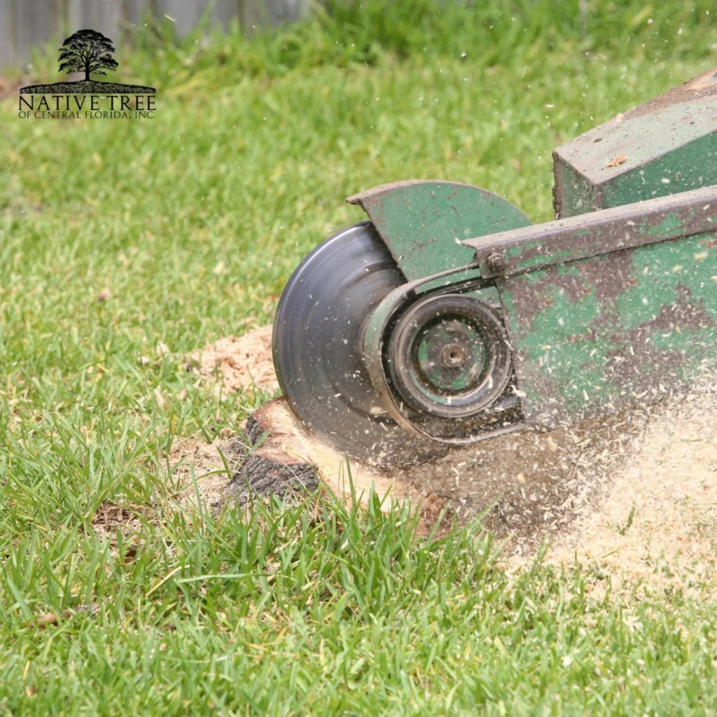 A lawn mower cutting through lush green grass in a well-maintained yard.