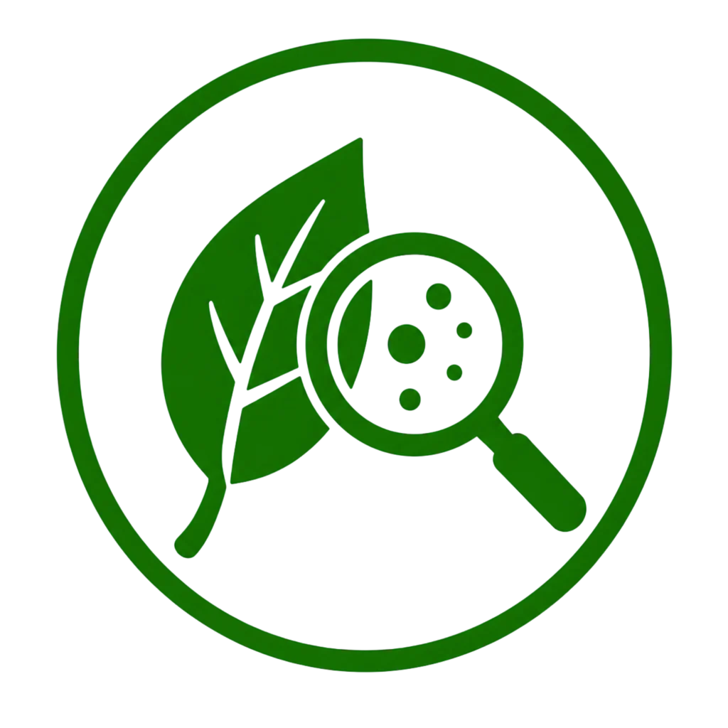 A green leaf under a magnifying glass, highlighting potential tree health issues for early identification.