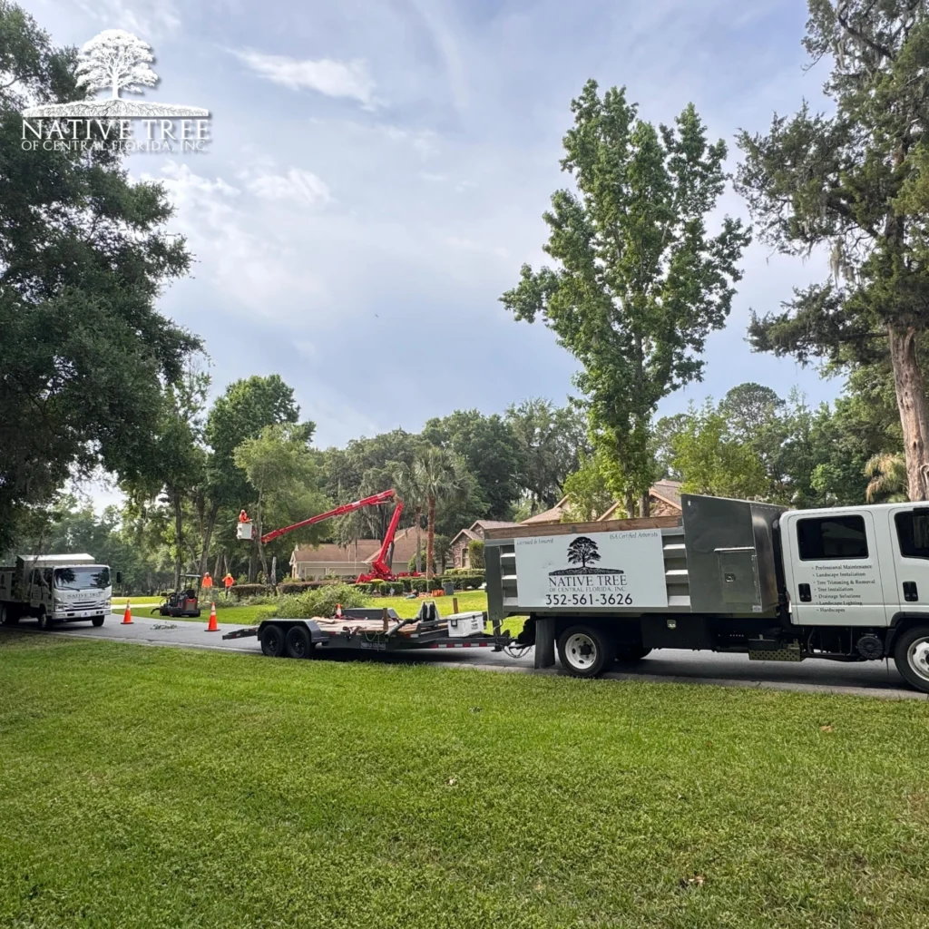 A maintenance truck parked in front of a house, with a large tree visible in the yard.