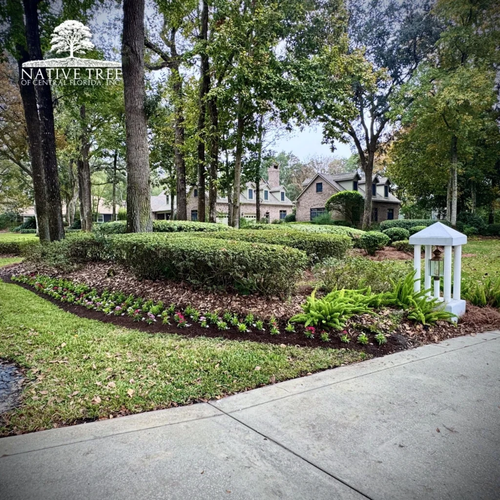 A beautifully landscaped yard featuring well-maintained shrubs and trees, showcasing residential and commercial landscaping services.