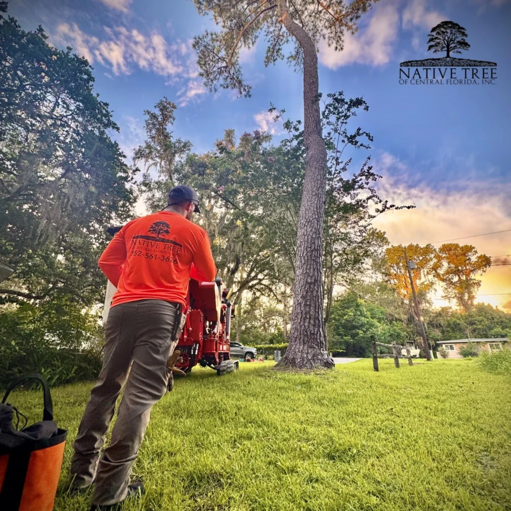 A man in an orange shirt stands beside a tree, assessing its health and stability for potential risks.