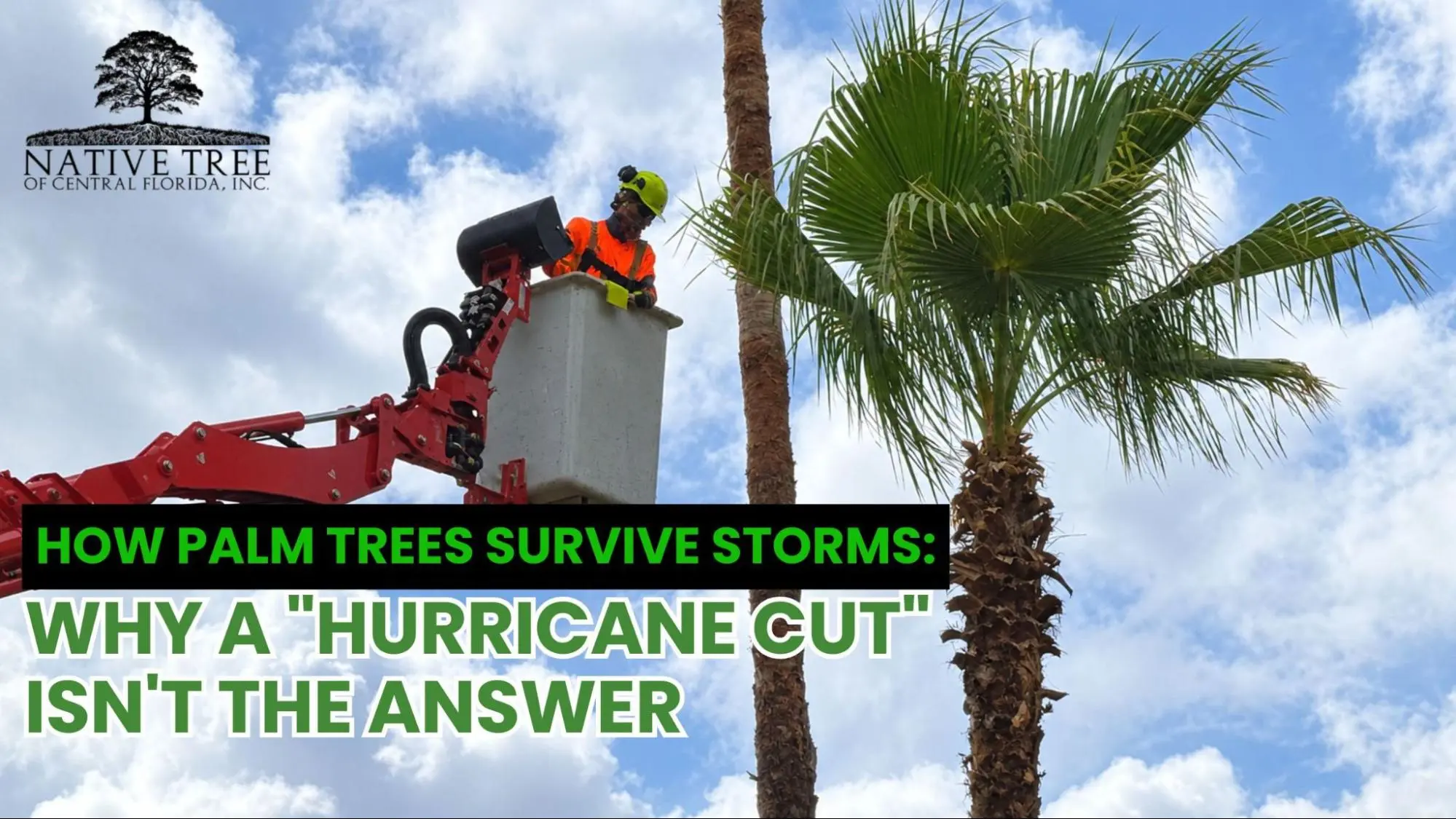 Diagram illustrating why hurricane cuts are ineffective for storm damage prevention and management.